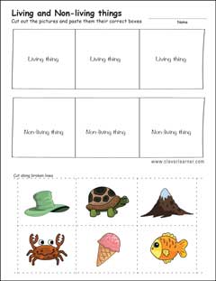 Livng things identification worksheets