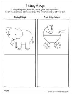 Living or non living preschool worksheets